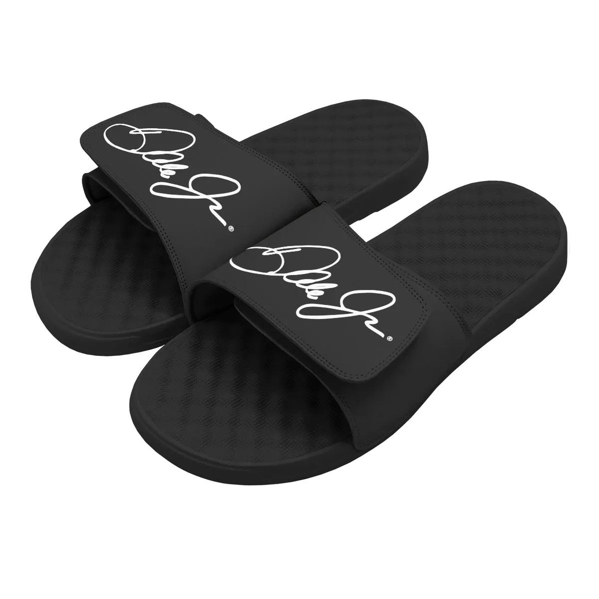 Dale Jr. Signature Slides